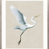 Majestic Egret V Small (465mm W x 560mm H) / Standard Clear Glass