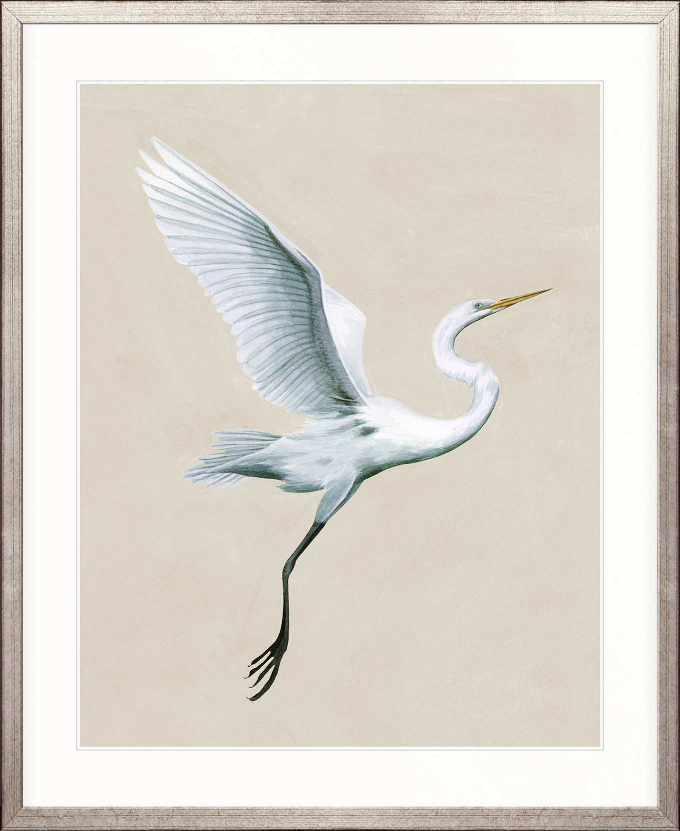 Majestic Egret V