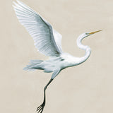 Majestic Egret V Small (465mm W x 560mm H) / Standard Clear Glass