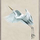 Majestic Egret VI (Canvas) Large (903mm W x 1109mm H)