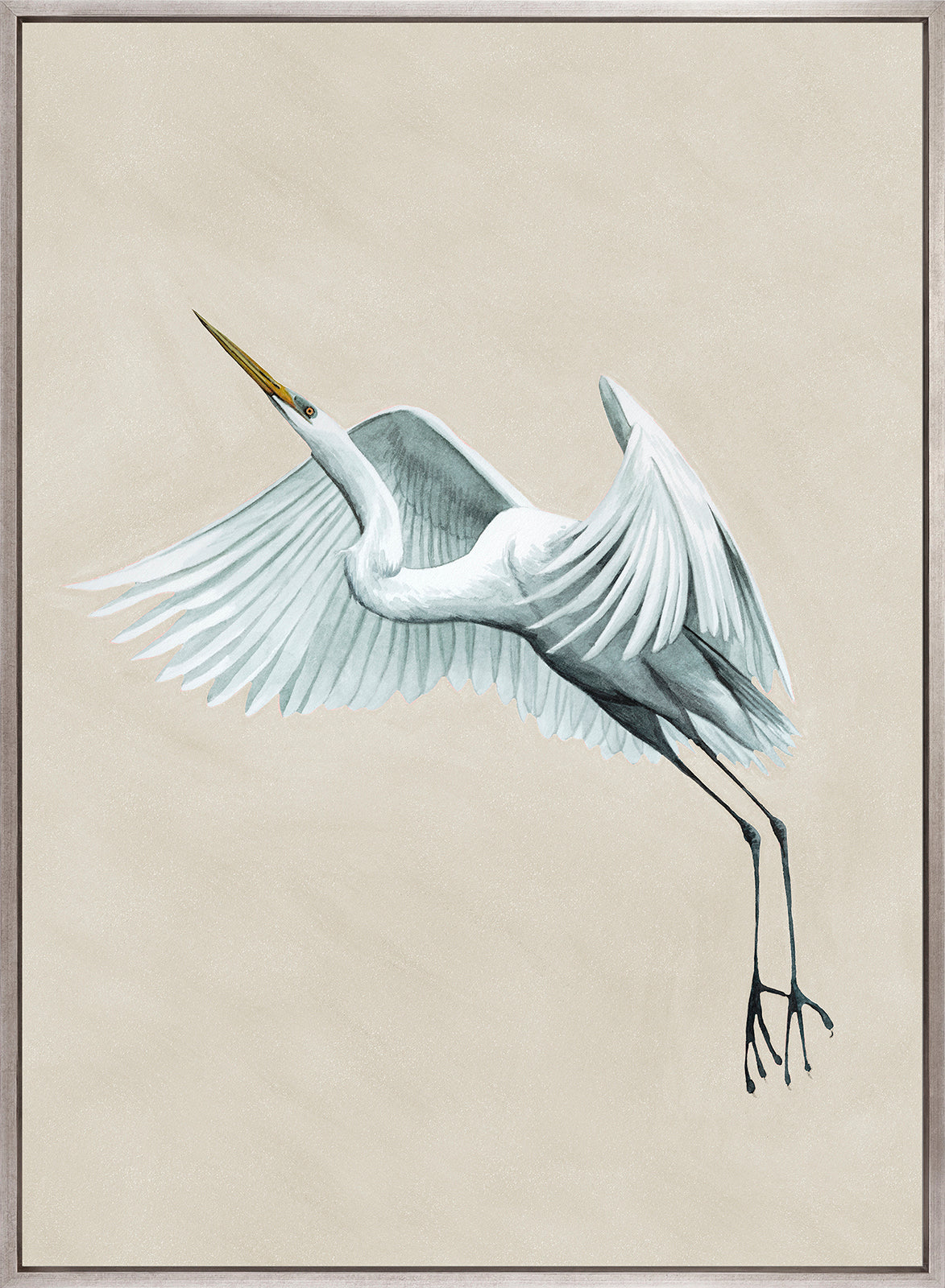 Majestic Egret VI (Canvas)