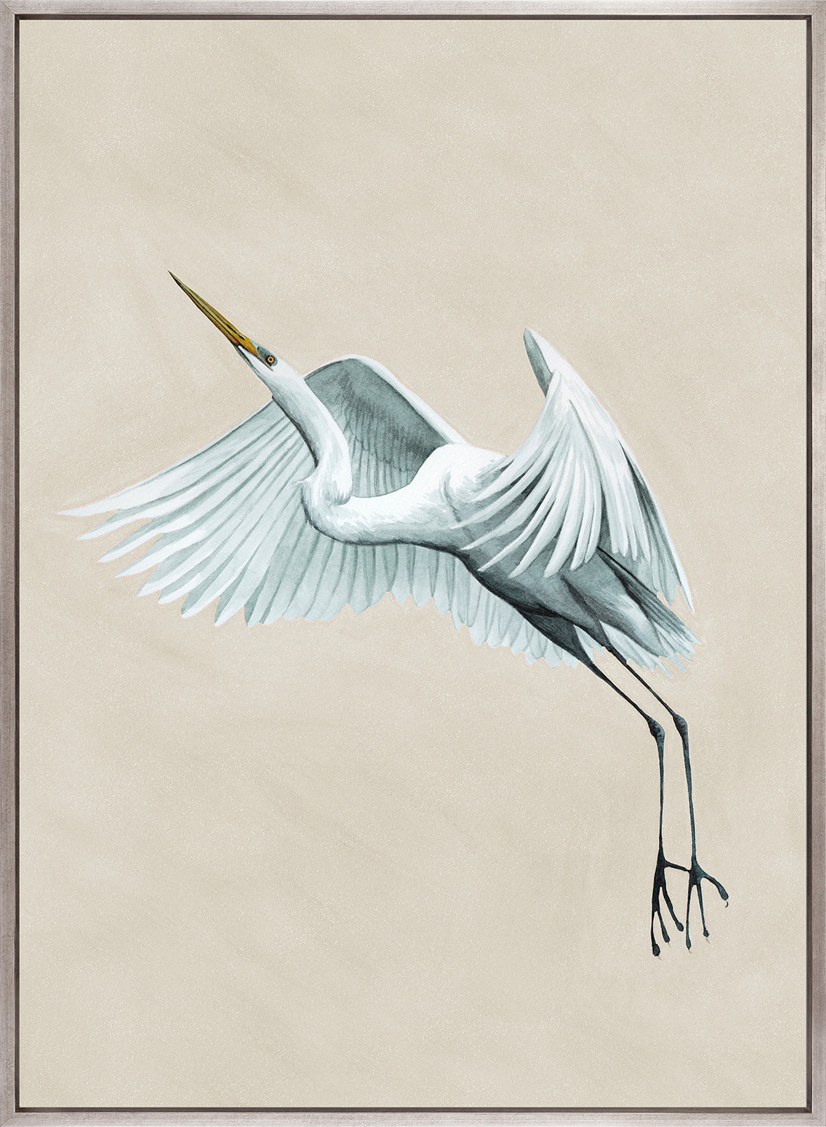 Majestic Egret VI (Canvas)