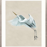 Majestic Egret VI Small (465mm W x 560mm H) / Standard Clear Glass