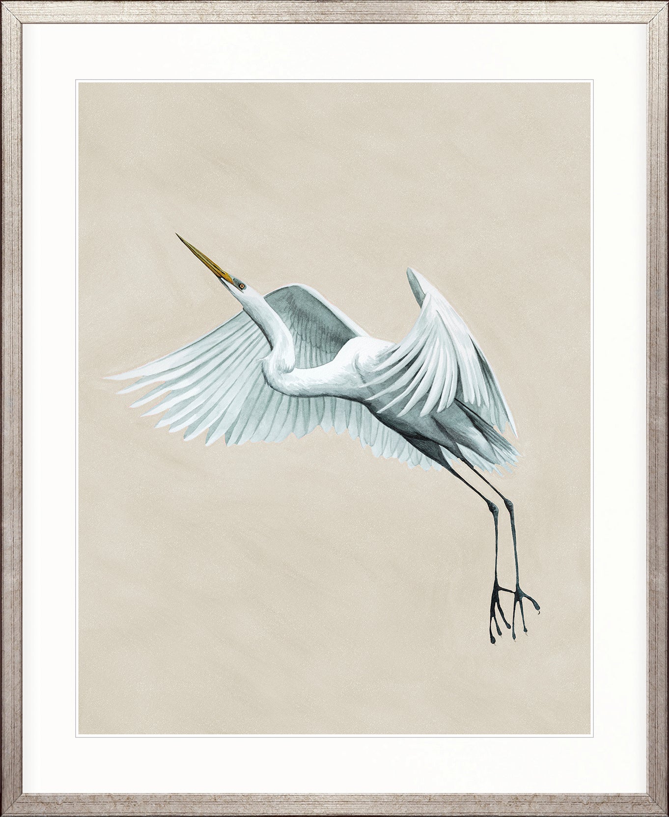 Majestic Egret VI