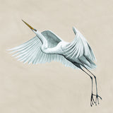 Majestic Egret VI Small (465mm W x 560mm H) / Standard Clear Glass