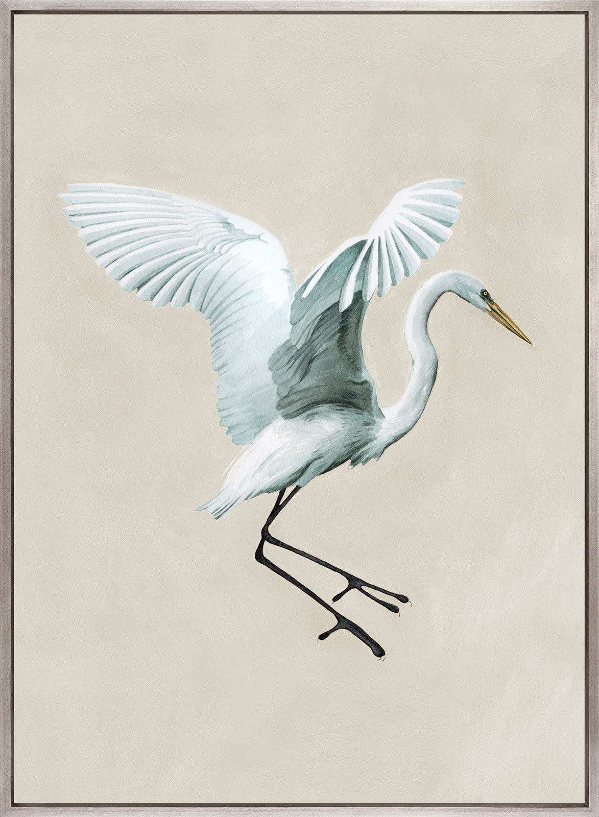 Majestic Egret VII (Canvas)