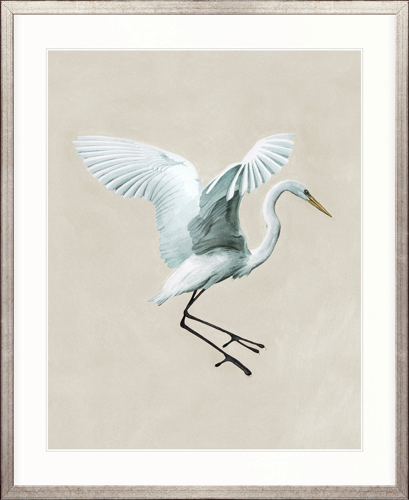 Majestic Egret VII