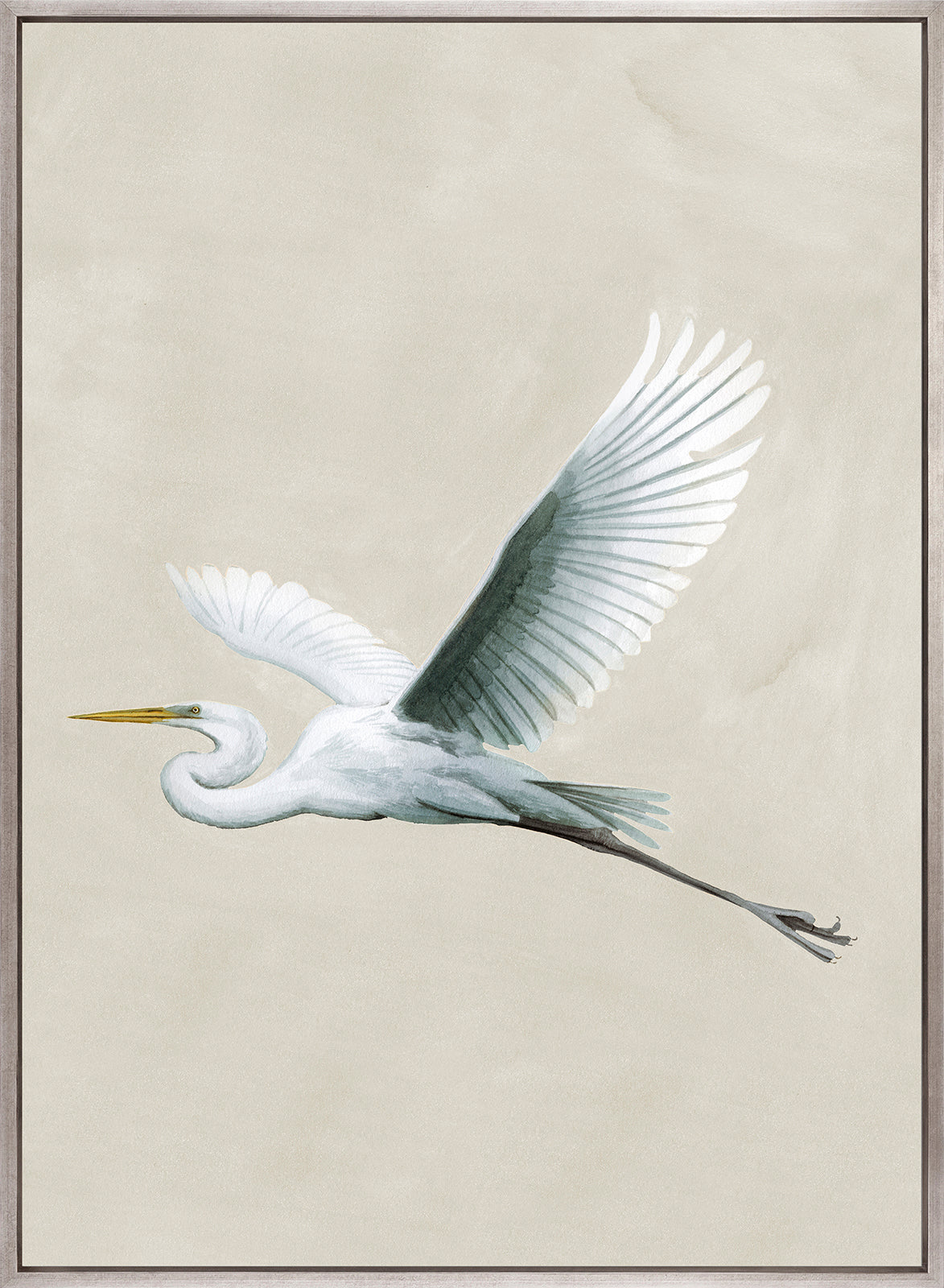 Majestic Egret VIII (Canvas)