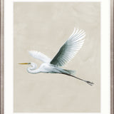 Majestic Egret VIII Small (465mm W x 560mm H) / Standard Clear Glass
