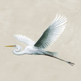 Majestic Egret VIII Small (465mm W x 560mm H) / Standard Clear Glass