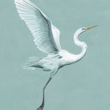 Majestic Egret IX (Canvas) Large (860mm W x 860mm H)