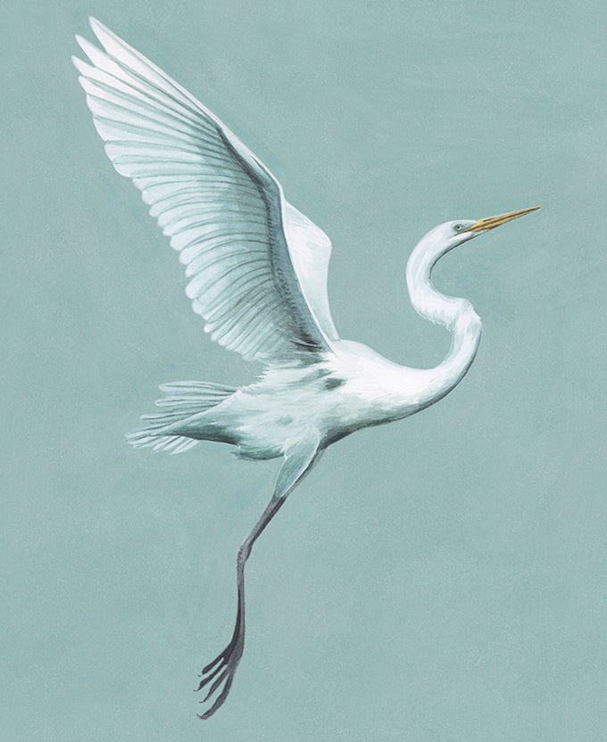 Majestic Egret IX