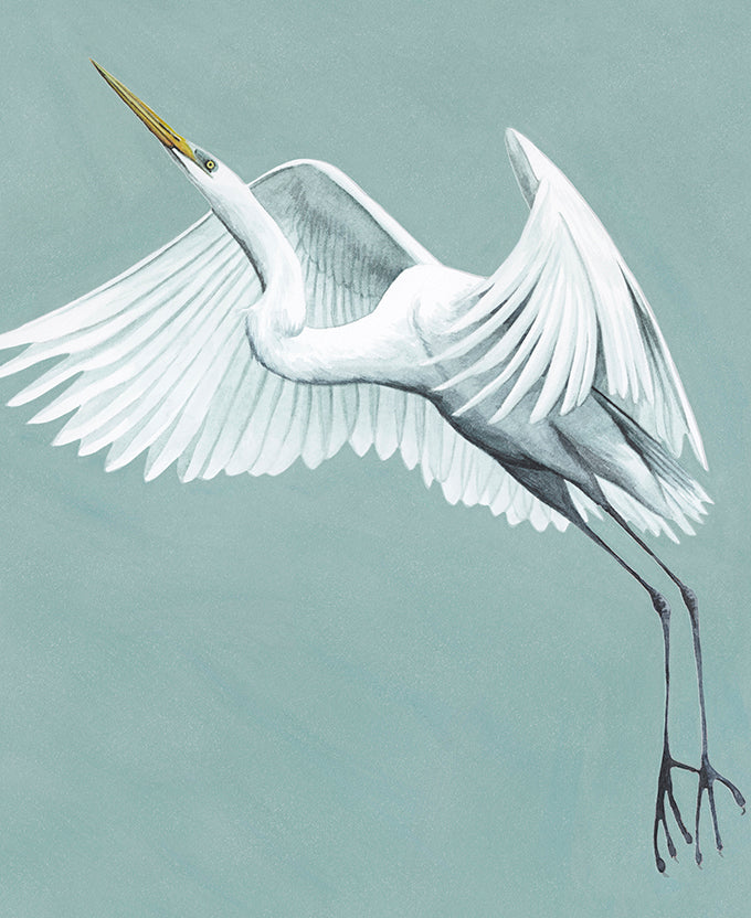 Majestic Egret X
