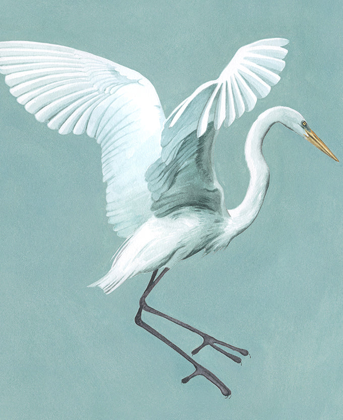 Majestic Egret XI
