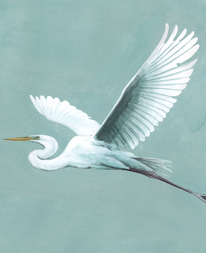 Majestic Egret XII
