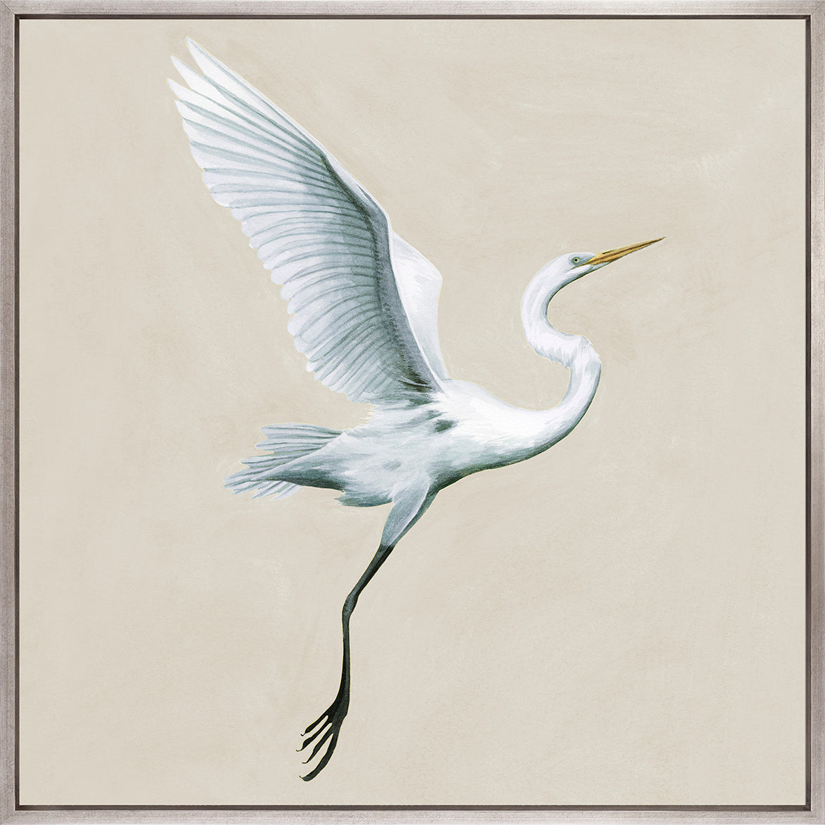 Majestic Egret XIII (Canvas)