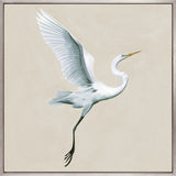 Majestic Egret XIII (Canvas) Large (860mm W x 860mm H)
