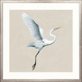 Majestic Egret XIII Small (550mm W x 550mm H) / Standard Clear Glass