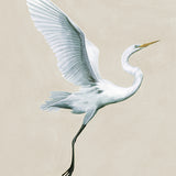 Majestic Egret XIII Small (550mm W x 550mm H) / Standard Clear Glass