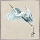 Majestic Egret XIV (Canvas) Large (860mm W x 860mm H)