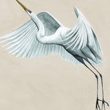 Majestic Egret XIV (Canvas) Large (860mm W x 860mm H)