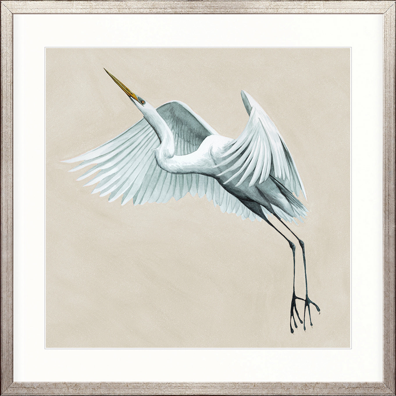 Majestic Egret XIV