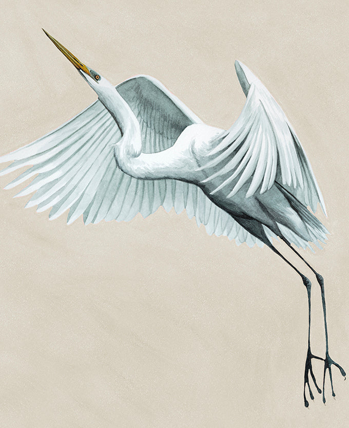 Majestic Egret XIV