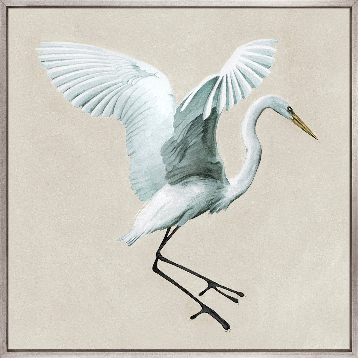 Majestic Egret XV (Canvas)