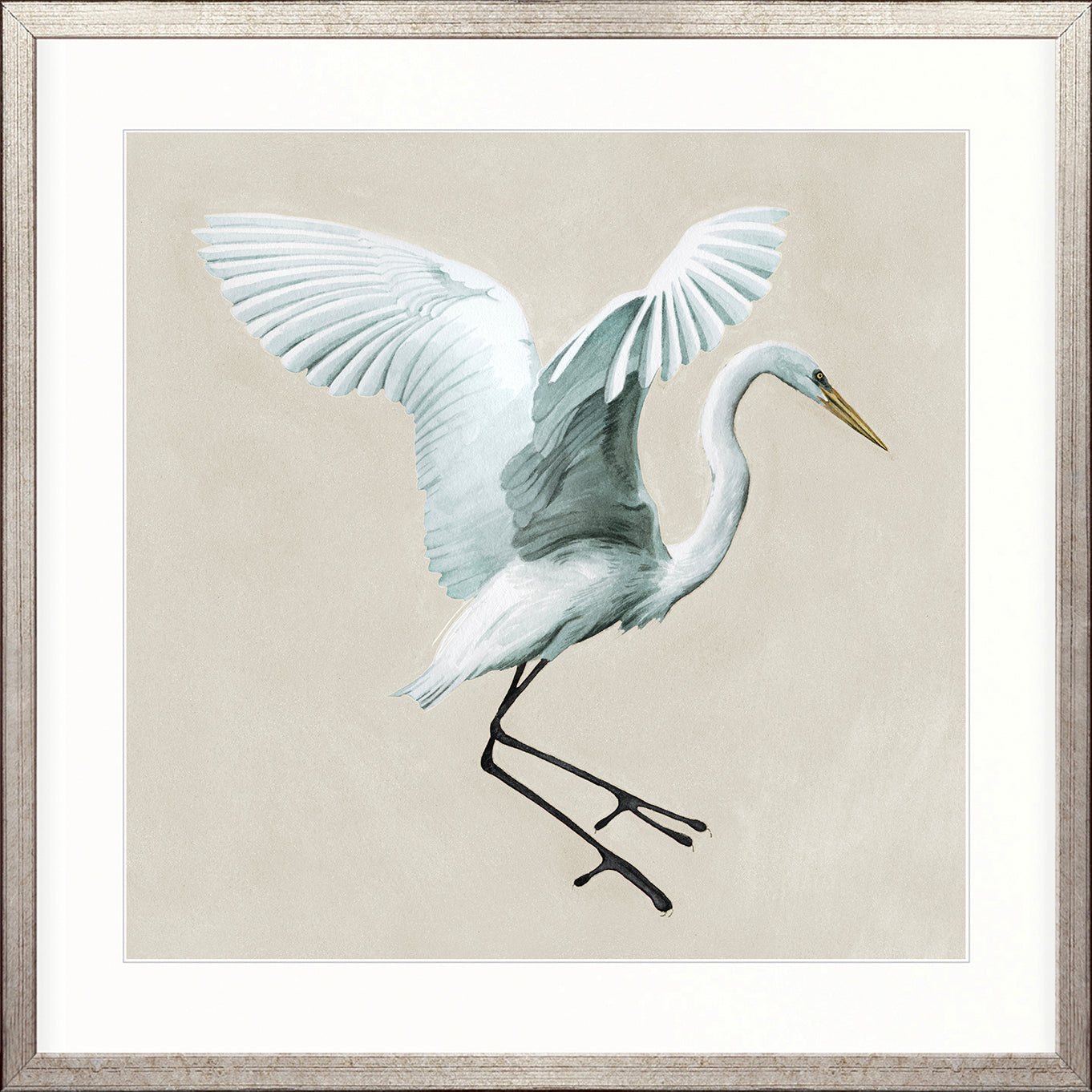 Majestic Egret XV