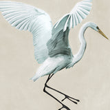 Majestic Egret XV Small (550mm W x 550mm H) / Standard Clear Glass