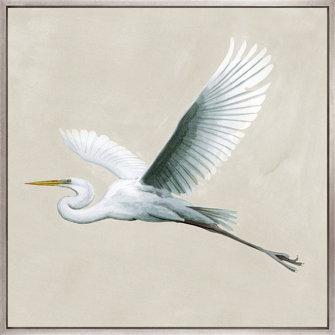 Majestic Egret XVI (Canvas)