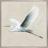 Majestic Egret XVI (Canvas) Large (860mm W x 860mm H)