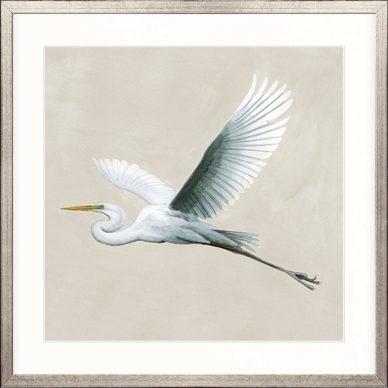 Majestic Egret XVI