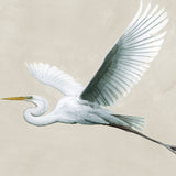 Majestic Egret XVI Small (550mm W x 550mm H) / Standard Clear Glass