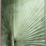Palm Silhouette (Pale Green) II (Canvas)