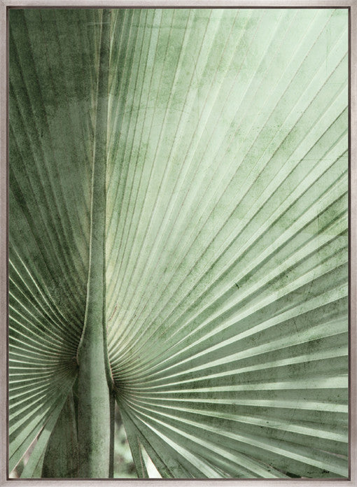 Palm Silhouette (Pale Green) II (Canvas)