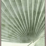 Palm Silhouette (Pale Green) V (Canvas)
