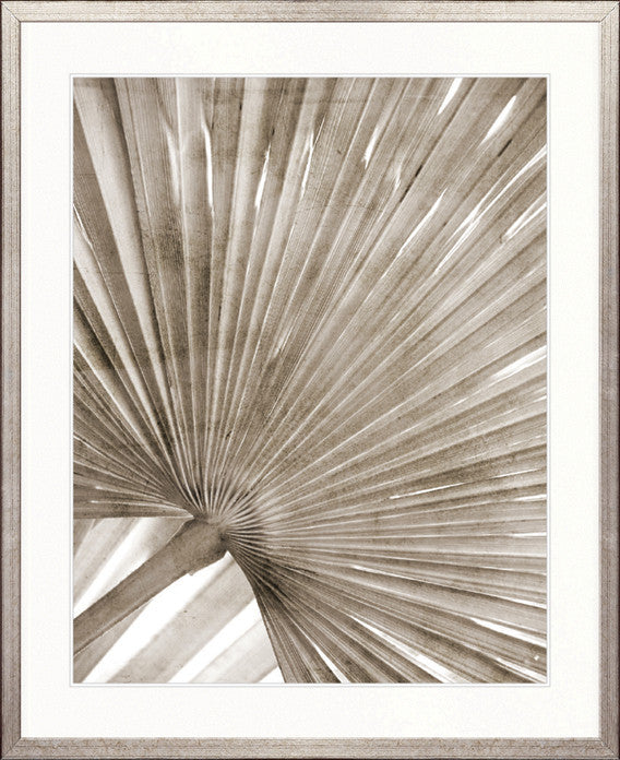 Palm Silhouette VII (Taupe)