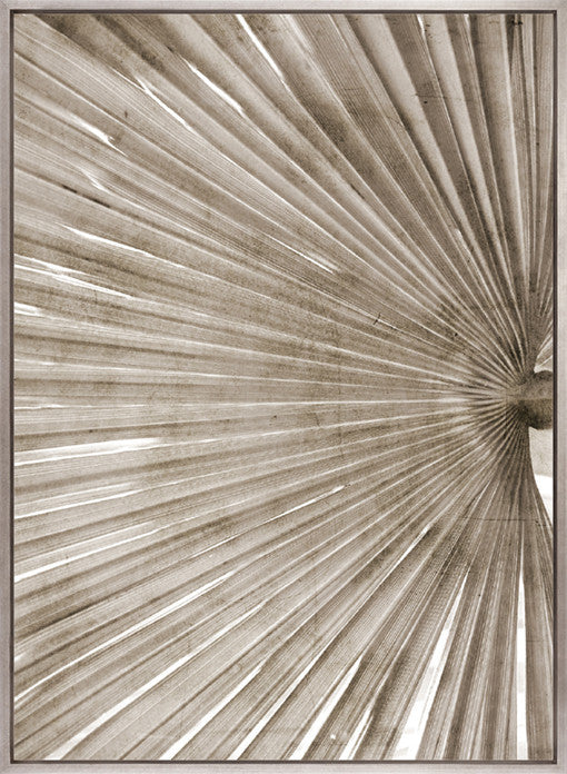 Palm Silhouette (Taupe) IX (Canvas)