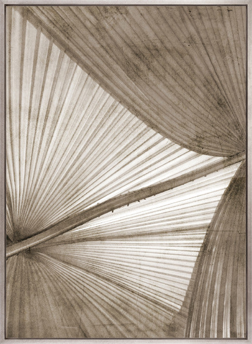 Palm Silhouette (Taupe) XII (Canvas)