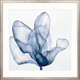 Maret Floral I X-Large (1015mm W x 1015mm H) / Clear Acrylic