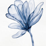 Maret Floral II (Canvas) Large (860mm W x 860mm H)