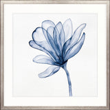 Maret Floral II X-Large (1015mm W x 1015mm H) / Clear Acrylic