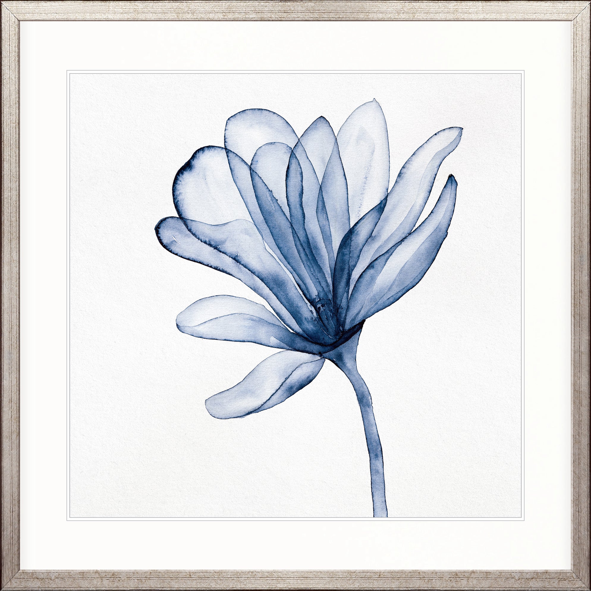 Maret Floral II X-Large (1015mm W x 1015mm H) / Clear Acrylic