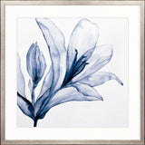Maret Floral III X-Large (1015mm W x 1015mm H) / Clear Acrylic