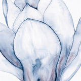 Maret Floral V (Canvas) Large (860mm W x 860mm H)