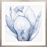 Maret Floral V X-Large (1015mm W x 1015mm H) / Clear Acrylic