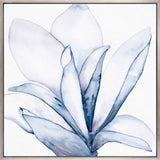 Maret Floral VI (Canvas) Large (860mm W x 860mm H)