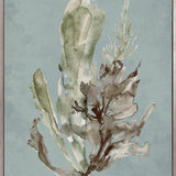 Margate Coral I (Canvas) Large (903mm W x 1109mm H)