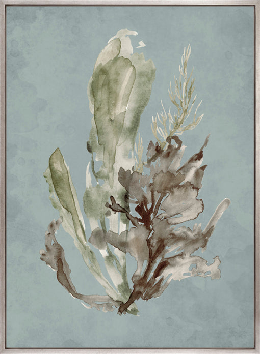 Margate Coral I (Canvas)